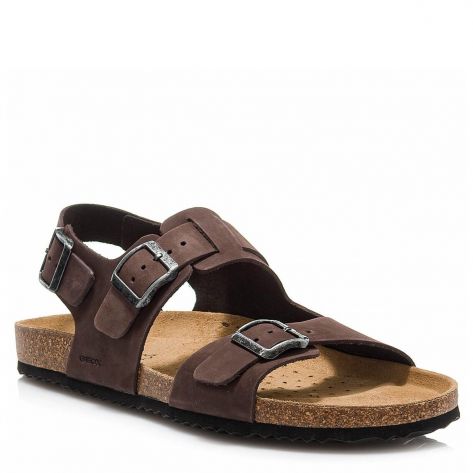 Az geox discount